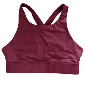 Fabletics Wine Sports Bra